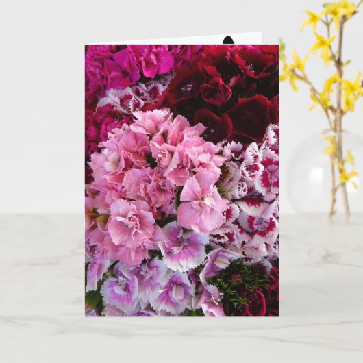 花の開花 カード (黄色い花)