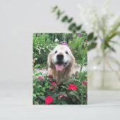 花の間に微笑むゴールデンレトリバードッグ空白の ポストカード (スタンド正面)