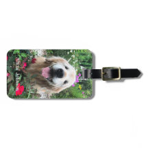 花の間に微笑むゴールデンレトリバー犬