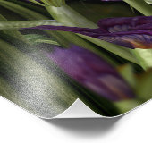 花の間のハーム フォトプリント            (角)