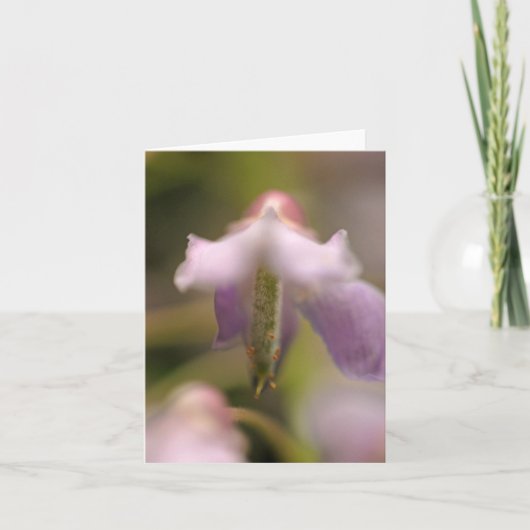 花の霊空白の挨拶カード カード (正面)