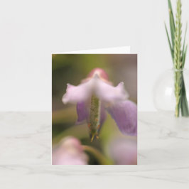 花の霊空白の挨拶カード カード