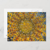 花の露の反射，三日月市， ポストカード (正面/裏面)