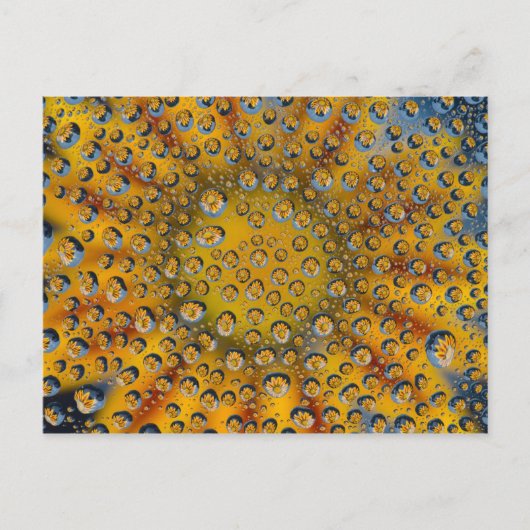 花の露の反射，三日月市， ポストカード (正面)