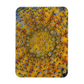 花の露の反射，三日月市， マグネット (縦)