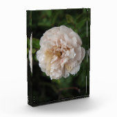 花の露 フォトブロック (左)