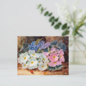 花の静物生命オリバークレア1853 - 1927 ポストカード (スタンド正面)