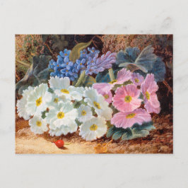 花の静物生命オリバークレア1853 - 1927 ポストカード