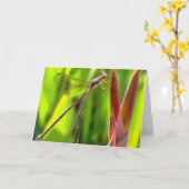 花の頭の上でバランスの取れたダンセルフライ カード (黄色い花)