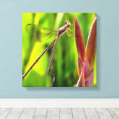 花の頭の上でバランスの取れたダンセルフライ キャンバスプリント (インサイチュ (ウッドフロア))