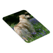 花の黄金の宝 マグネット (右側)