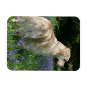 花の黄金の宝 マグネット (横)