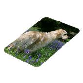 花の黄金の宝 マグネット (左側)