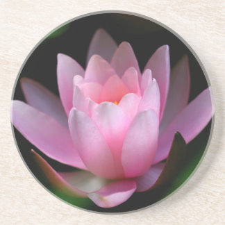 花のcoster コースター