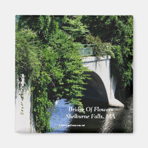 花のShelburneの滝MAの磁石の橋 マグネット
