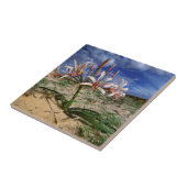 花のVlei Lily(ネリン·ラティコマ) タイル (側面)