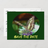 花はがきに蝶の日付を保存 案内ポストカード (正面/裏面)