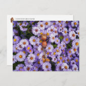 花はがき内のacorn小妖精や小人 ポストカード (正面/裏面)