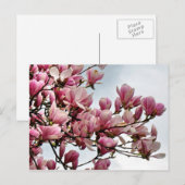 花はがき79 ポストカード (正面/裏面)