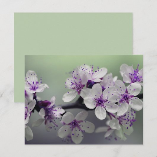 花はがき ポストカード (正面/裏面)