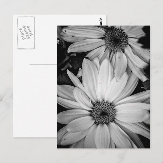 花はがき ポストカード (正面/裏面)