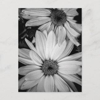 花はがき ポストカード