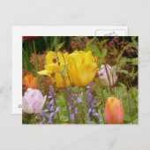 花はがき ポストカード (正面/裏面)