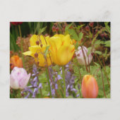 花はがき ポストカード (正面)