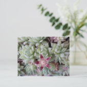 花はがき ポストカード (スタンド正面)