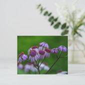 花はがき ポストカード (スタンド正面)