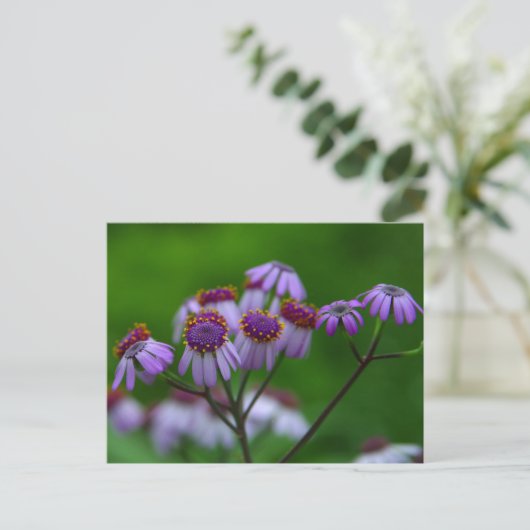 花はがき ポストカード (スタンド正面)