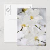 花はがき ポストカード (正面/裏面)
