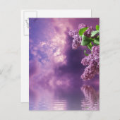 花はがき ポストカード (正面/裏面)