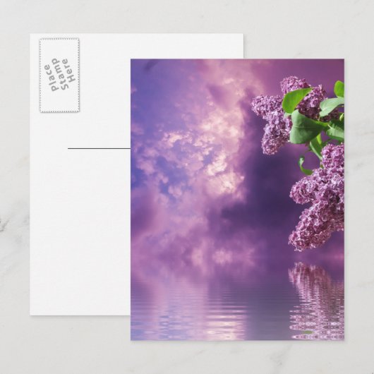 花はがき ポストカード (正面/裏面)