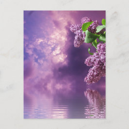 花はがき ポストカード