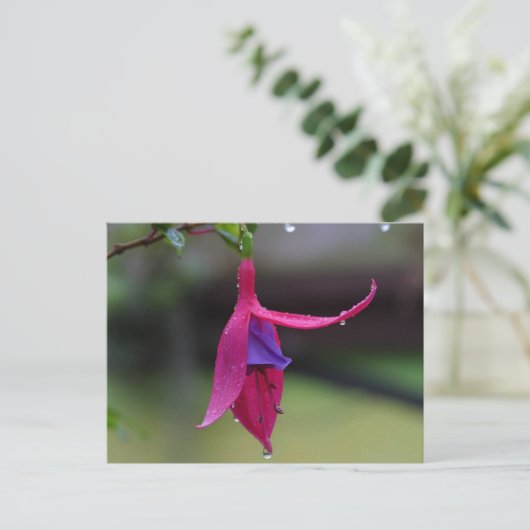 花はがき ポストカード (スタンド正面)