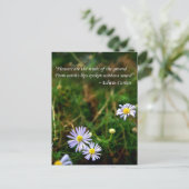 花はがき ポストカード (スタンド正面)