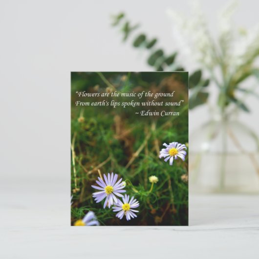 花はがき ポストカード (スタンド正面)