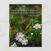 花はがき ポストカード (正面)