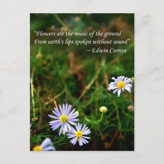 花はがき ポストカード (正面)