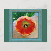 花はがき ポストカード (正面)