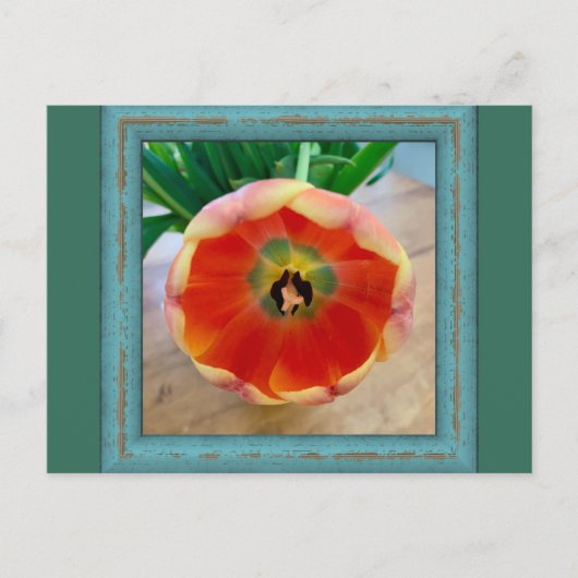 花はがき ポストカード (正面)