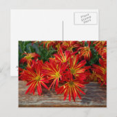 花はがき ポストカード (正面/裏面)