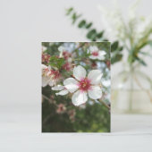 花はがき ポストカード (スタンド正面)