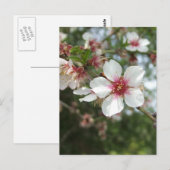 花はがき ポストカード (正面/裏面)