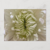 花はがき ポストカード (正面)