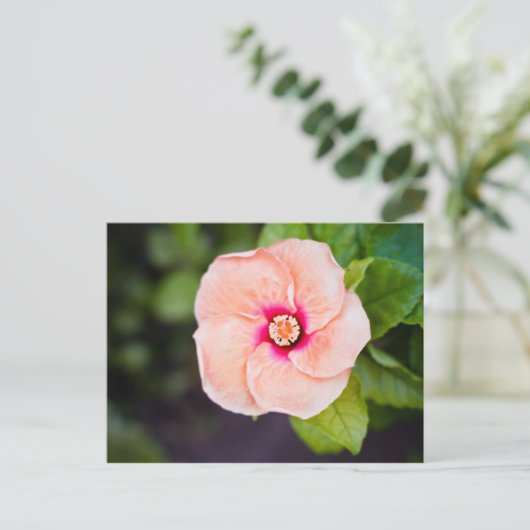 花はがき ポストカード (スタンド正面)