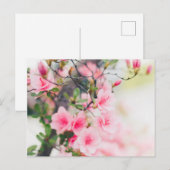 花はがき ポストカード (正面/裏面)