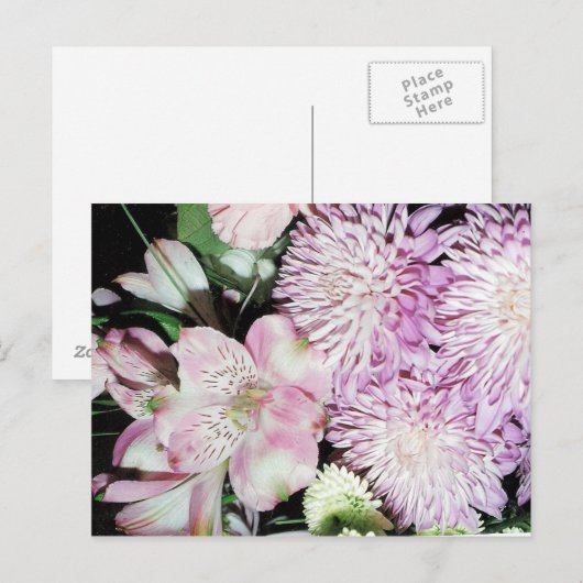 花はがき ポストカード (正面/裏面)