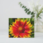 花はがき（毛布） ポストカード (スタンド正面)